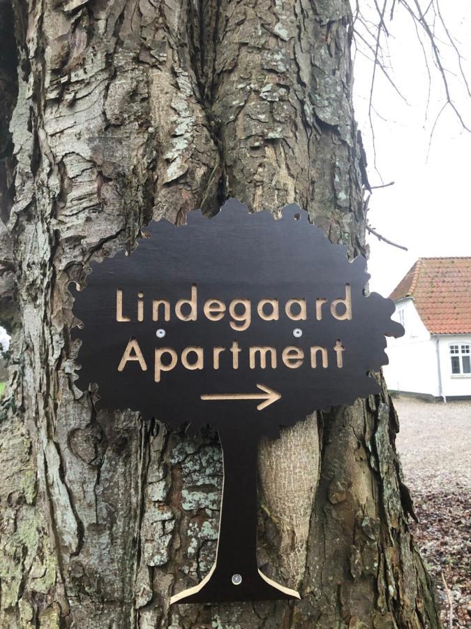 Lindegaardapartment - Woods And Sea Hejls المظهر الخارجي الصورة